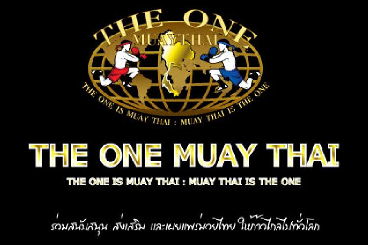 the one is muay thai